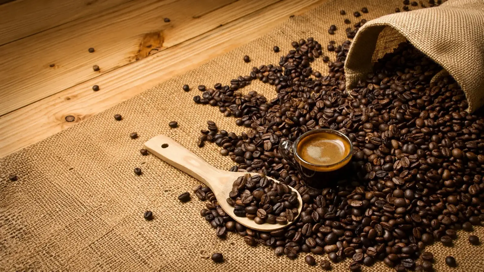 Mengenal Jenis Kopi